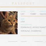 Spilla marrone a forma di gatto Lisa