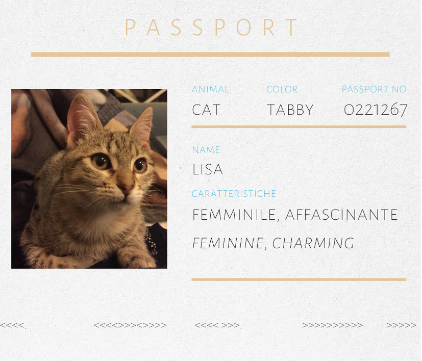 Spilla marrone a forma di gatto Lisa