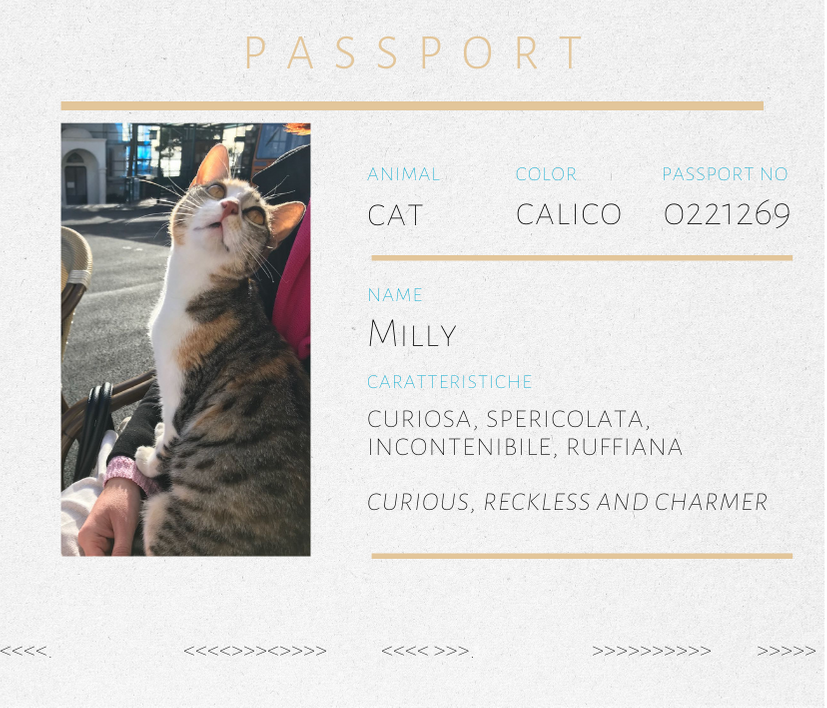 Spilla in diaspro a forma di gatto Milly