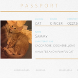 Spilla in corniola a forma di gatto Sammy