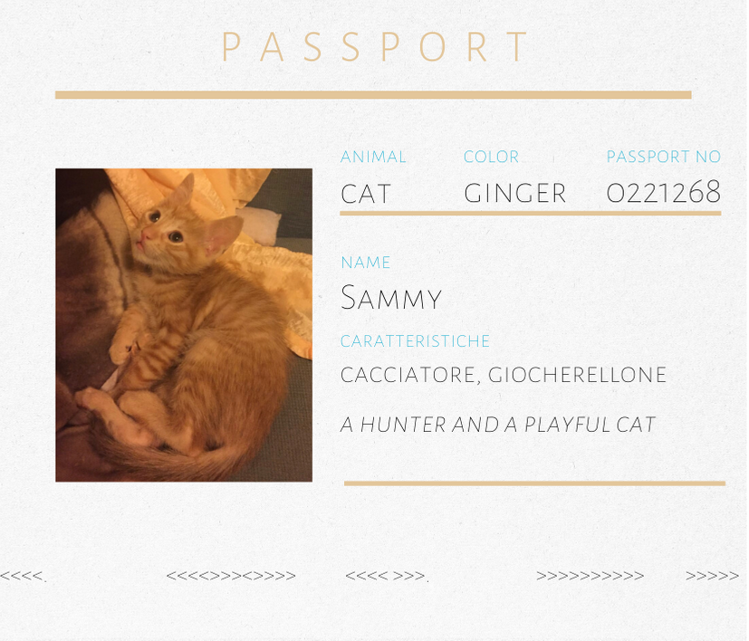 Spilla in corniola a forma di gatto Sammy