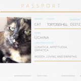 Spilla a forma di gatto in Diaspro Ughina