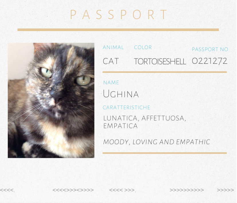 Spilla a forma di gatto in Diaspro Ughina