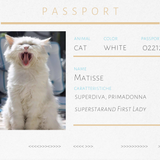 Spilla gatto bianco Matisse