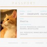 Spilla rossa in oro bianco e corniola Martin