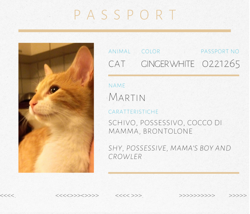 Spilla rossa in oro bianco e corniola Martin