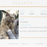 Spilla a forma di gatto in quarzo grigio