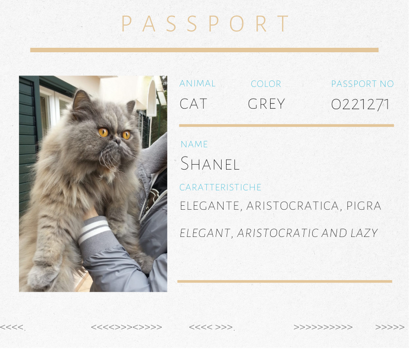 Spilla a forma di gatto in quarzo grigio