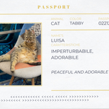 Spilla a forma di gatto colore grigio fumé