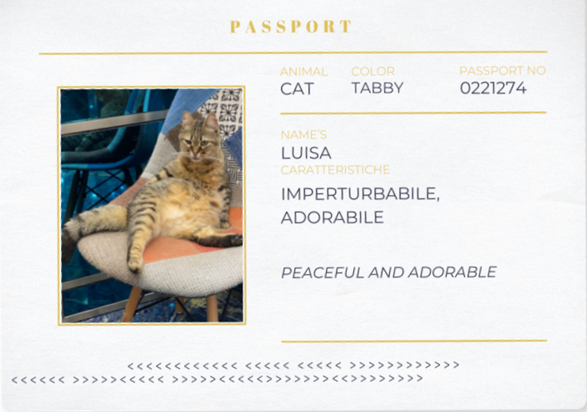 Spilla a forma di gatto colore grigio fumé