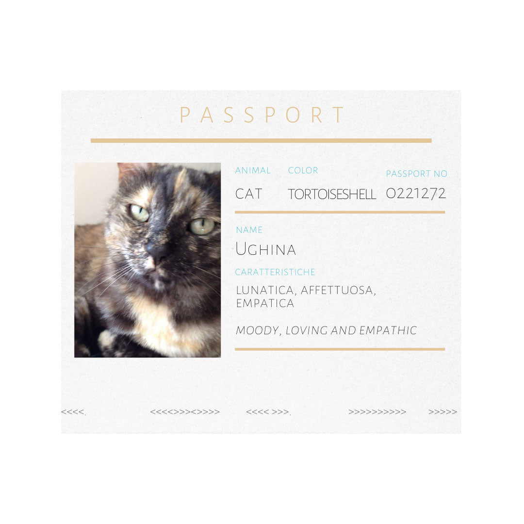 passport