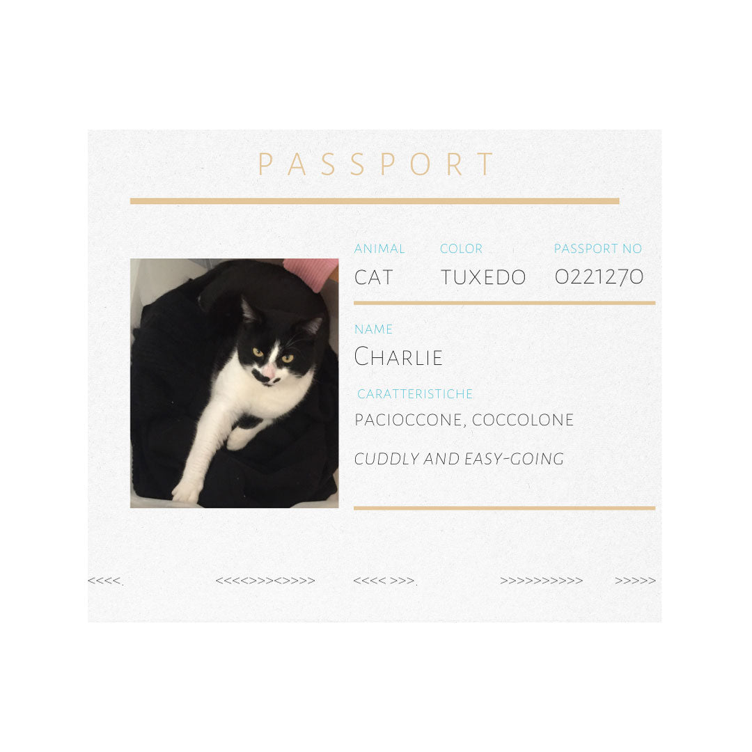 passport